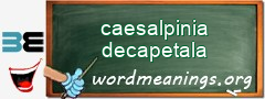 WordMeaning blackboard for caesalpinia decapetala